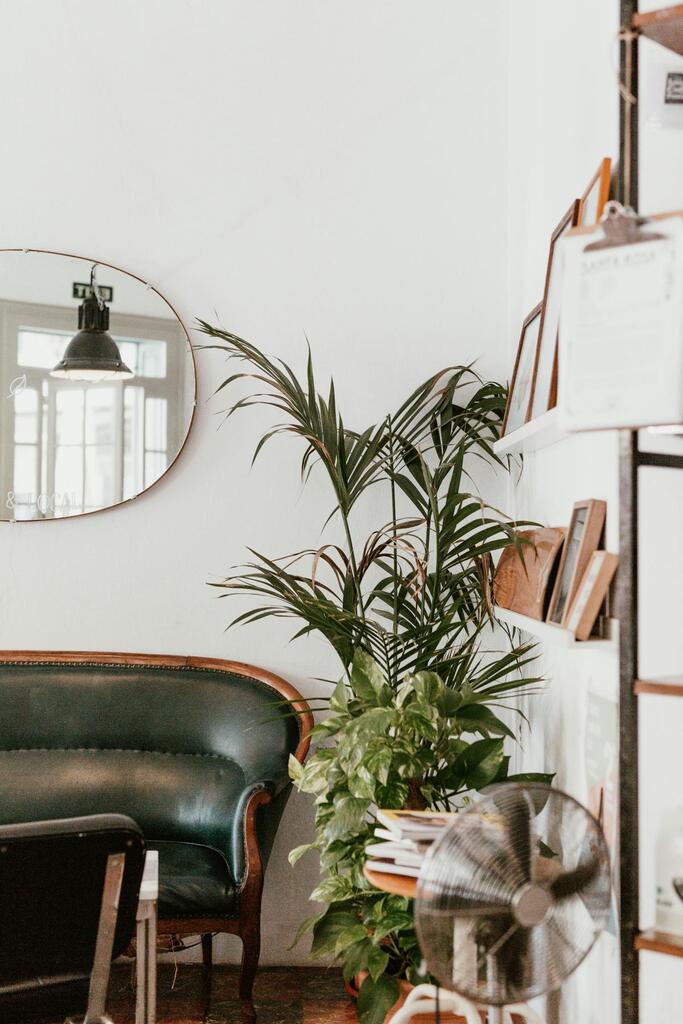Clair Obscur Design, Un décor Airbnb de style industriel avec un fauteuil en cuir, une étagère blanche avec des livres et des plantes, parfait pour le home staging Airbnb, le design intérieur Airbnb, augmenter le taux d’occupation Airbnb, et optimisation Airbnb design, intégrant décoration Airbnb, design Airbnb, location courte durée décorée, propriété locative stylée, optimisation de location courte durée, décoration moderne pour Airbnb, et aménagement Airbnb harmonieux.